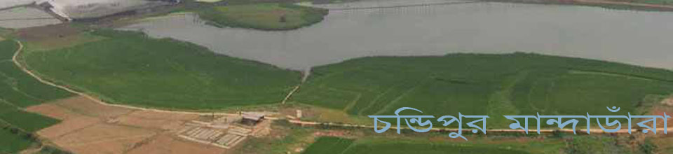 চন্ডিপুর মান্দা ডারা। এটি জিন্দাপীরতলা ব্রীজ হয়ে নদীতে মিলেছে।
