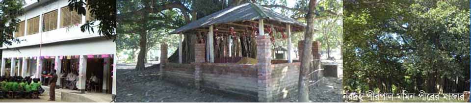 নূরদহ পীরপাল মমিন পীরের মাজার