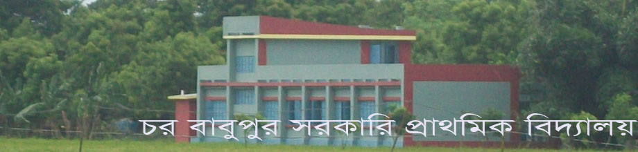চরবাবুপুর সরকারি প্রাথমিক বিদ্যালয়।