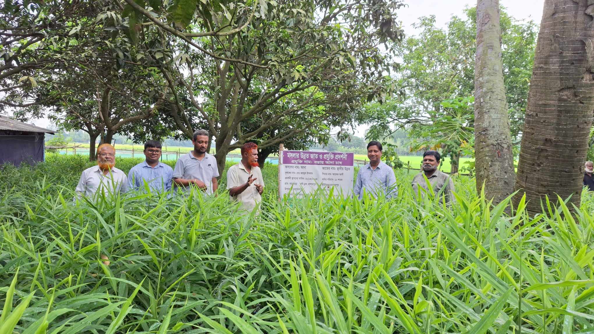 অফিস ব্যানার