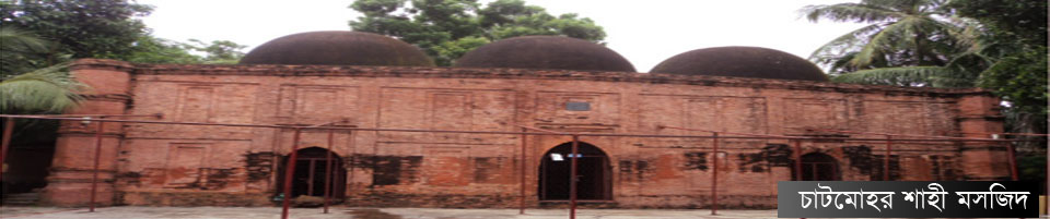 চাটমোহর শাহী মসজিদ