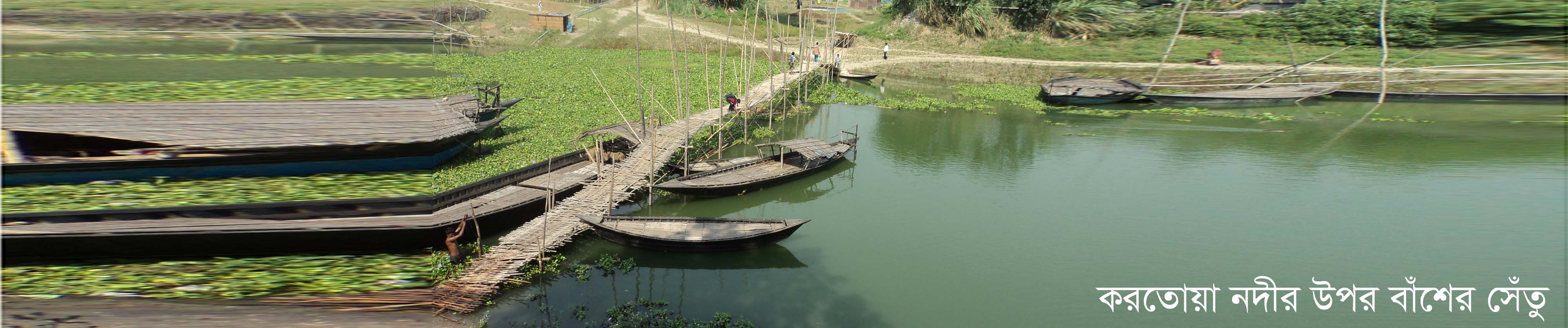 Bamboo bridge on the Karatoya river