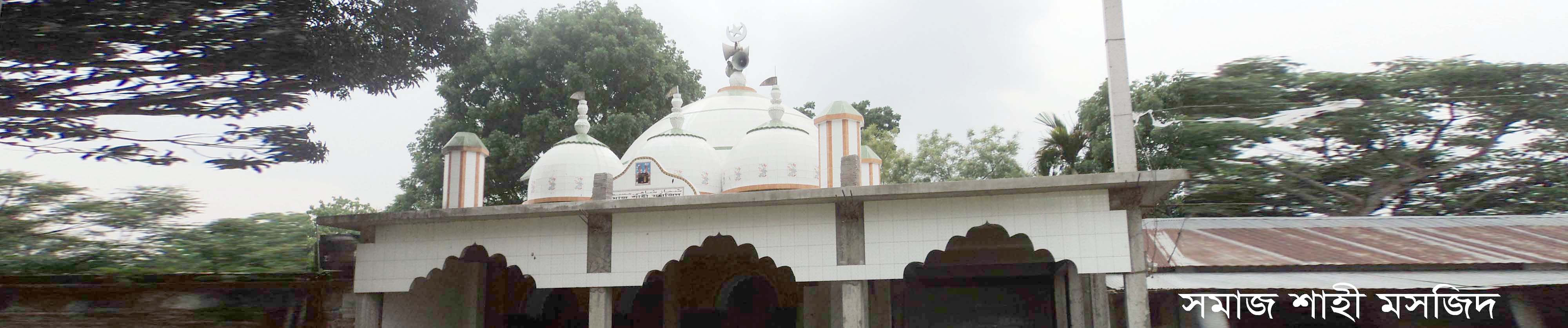 Society Shahi Mosque