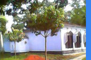 গ্রাম: বীরগ্রাম জামে মসজিদ